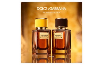 Новые ароматы в коллекции Velvet Collection от Dolce & Gabbana