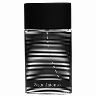 Ermenegildo Zegna Intenso