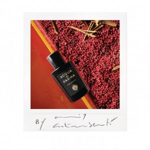Acqua di Parma Oud & Spice