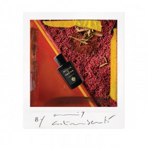 Acqua di Parma Oud & Spice