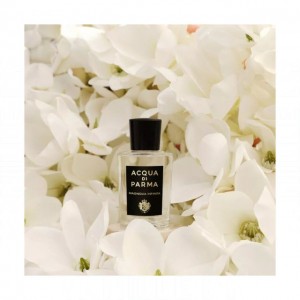 Acqua di Parma Magnolia Infinita