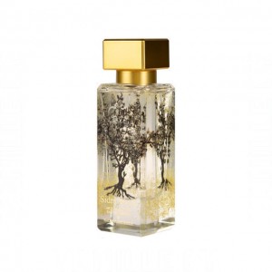 Al-Jazeera Perfumes Sidra Wood