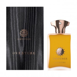 Amouage Overture Man