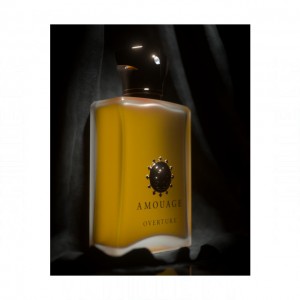Amouage Overture Man