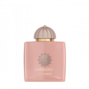 Amouage Guidance