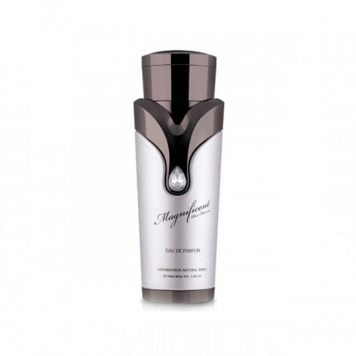 Armaf Magnificent Pour Homme