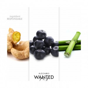 Azzaro Wanted Girl Tonic
