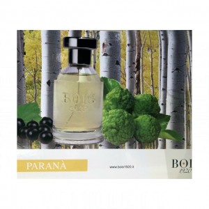 Bois 1920 Parana