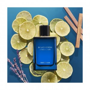 Boucheron Singulier