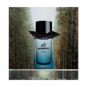 Burberry Mr. Element