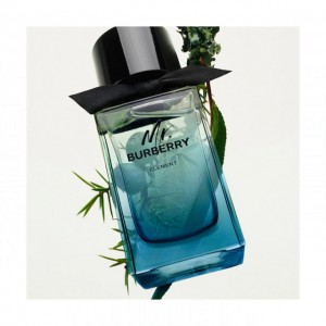 Burberry Mr. Element