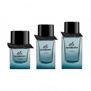 Burberry Mr. Element
