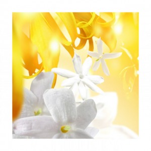 Bvlgari Omnia Golden Citrine