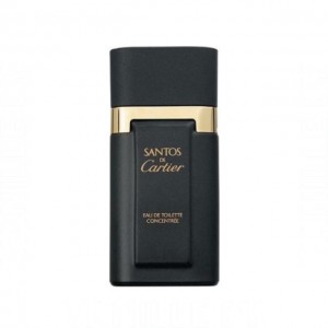 Cartier Santos Concentree