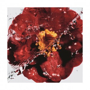 Chanel N°1 de L'Eau Rouge