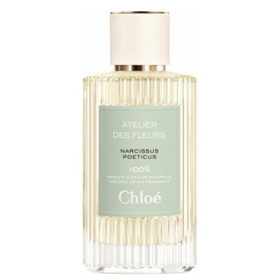 Chloe Narcissus Poeticus