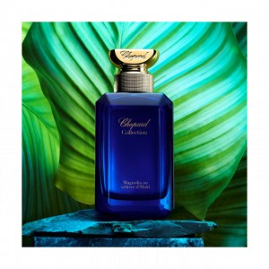 Chopard Vetiver d'Haiti au The Vert