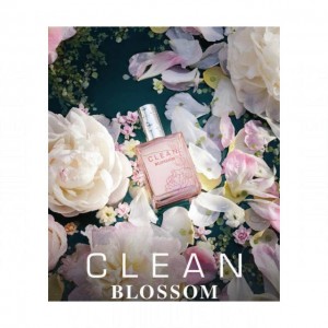 Clean Blossom