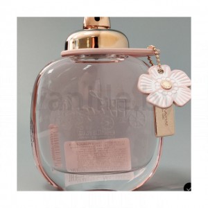 Coach Floral Eau The Parfum