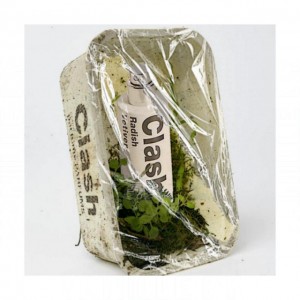 Comme des Garcons Radish Vetiver
