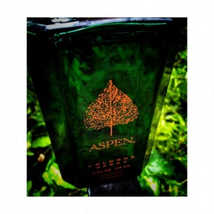 Coty Aspen For Men