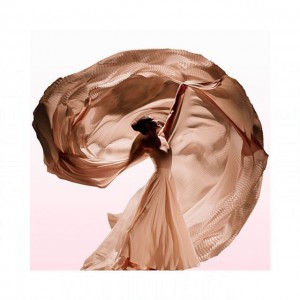 Creed Wind Flowers