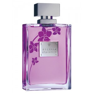 David Beckham Signature Women