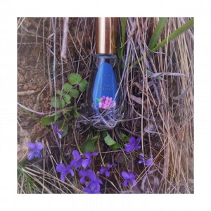 Dilis Parfum Ночная Фиалка