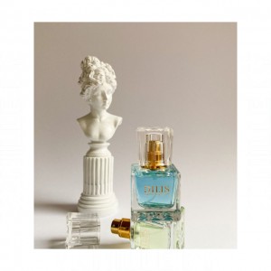 Dilis Parfum Dilis Classic Collection №42