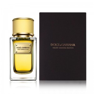 Dolce&Gabbana Velvet Mimosa Bloom