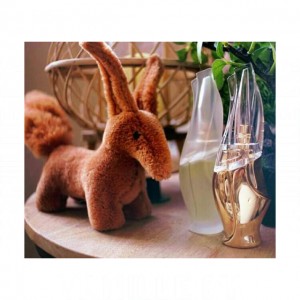 Donna Karan Cashmere Mist Essence