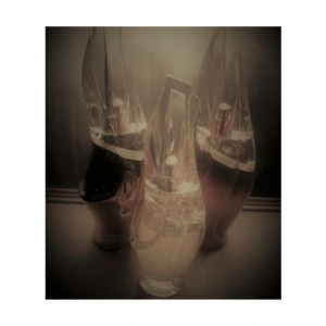 Donna Karan Cashmere Mist Essence