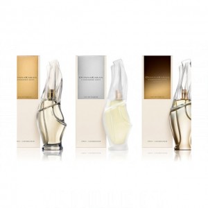 Donna Karan Cashmere Mist Essence