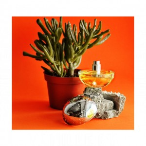 Donna Karan Be Delicious Summer Squeeze