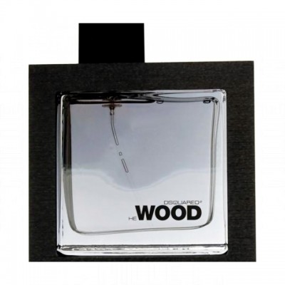 Dsquared2 He Wood Silver Wind Wood