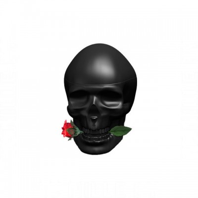 Ed Hardy Skulls & Roses for Him