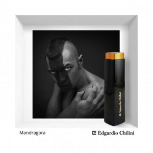 Edgardio Chilini Mandragora