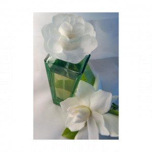 Elizabeth Taylor Gardenia