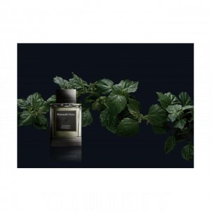 Ermenegildo Zegna Javanese Patchouli