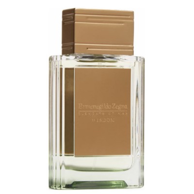 Ermenegildo Zegna Wisdom