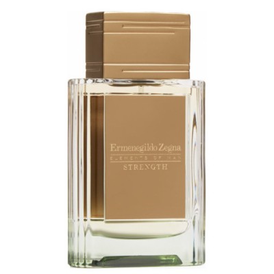 Ermenegildo Zegna Strength