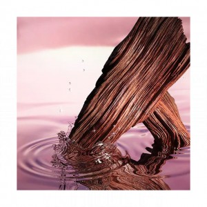 Estee Lauder Desert Eden