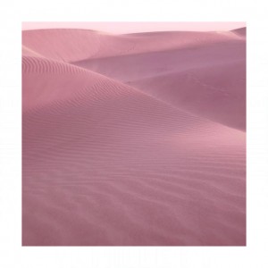 Estee Lauder Desert Eden