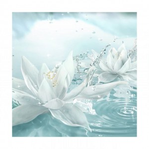 Estee Lauder Radiant Mirage