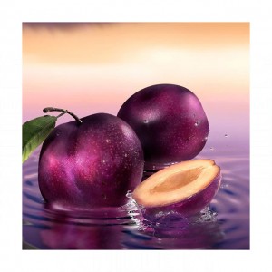 Estee Lauder Sensuous Stars