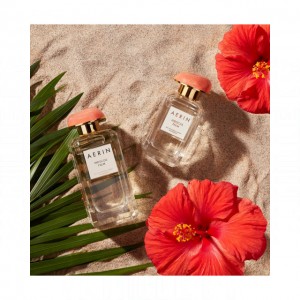Estee Lauder Hibiscus Palm Aerin Lauder