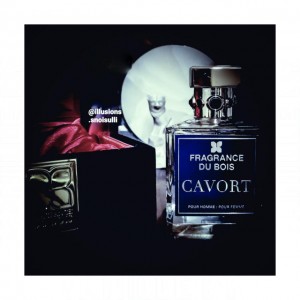 Fragrance Du Bois Cavort Extrait de Parfum