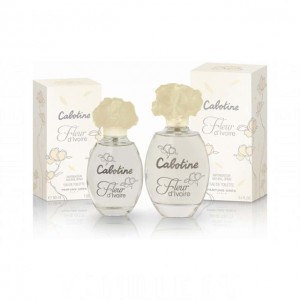 Gres Cabotine Fleur d'Ivoire