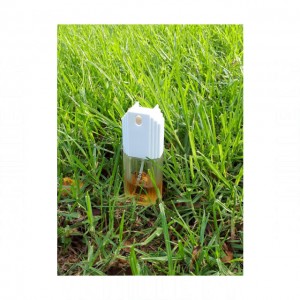 Gucci №3 Eau de Toilette