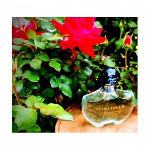 Guerlain Shalimar Eau Legere